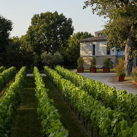 Borgo San Gregorio Villa Sorbo Serpico Exteriör bild